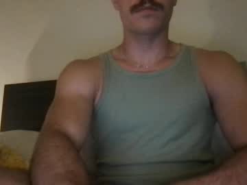 beebud 27