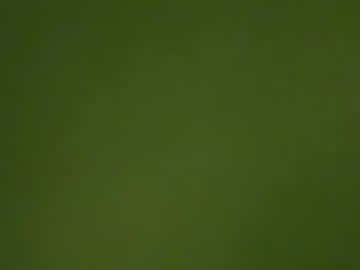 daddylongdong23