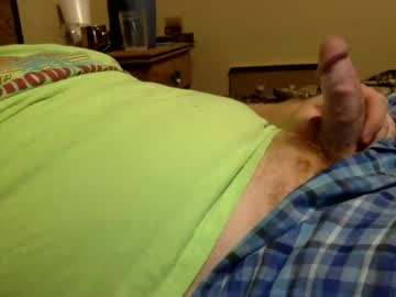 gingercock67583