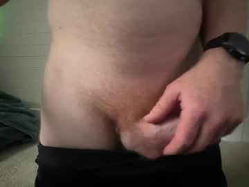 shygingerpnw
